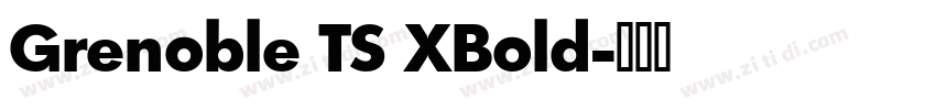 Grenoble TS XBold字体转换